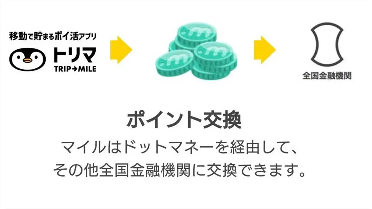 トリマ ［使用ほぼ無し］ 【公式通販】